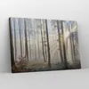 Bild auf Leinwand - Leinwandbild - Wald Baum Natur - Produktbild-Vorschau 4