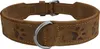 A close-up studio shot of a dog collar. Produktbild-Vorschau