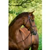 Briglia Snaffle Kerbl Classic in pelle marrone Warmblood Anteprima dell’immagine prodotto 2