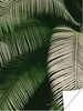 MuchoWow® Poster Palmwedel - Sommer - Tropisch 90x120 cm - Produktbild-Vorschau 1