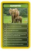 Top Trumps Quiz Welt der Tiere Ratespiel Wissensspiel Produktbild-Vorschau 6
