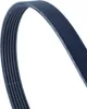 CONTITECH Keilrippenriemen 6PK745 Produktbild-Vorschau 3