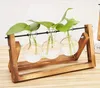 Pflanzenvasen, Terrarium-Stecklinge – Holzhalter mit Glas – Produktbild-Vorschau 12
