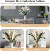 Pampasgras Getrocknet 65 Stück DIY Natürliche Trockenblumen Produktbild-Vorschau 7