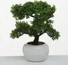 Bonsai 33cm Boltze Produktbild-Vorschau 4
