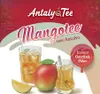 Mango Instant Getränkepulver Instanttee 1 kg – für Heiß- Produktbild-Vorschau 4