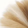 6er Set Pampasgras Kunstblumen 50 cm Boho Deko für Zuhause Produktbild-Vorschau 7