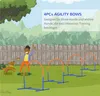 A person and a dog are playing in a backyard with agility equipment. Produktbild-Vorschau