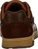 The back view of a brown Skechers sneaker. Voir les images du produit
