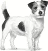 Royal Canin Vhn Dog Anallergenic Small 1,5Kg, 550938785 Anteprima dell’immagine prodotto 3