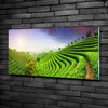 Tulup® Glas-Bild - 100x50 -Wandkunst - Wandbild hinter Produktbild-Vorschau 1