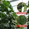 Haki do pomidorów ze sznurkiem, 18 metalowych haków do Podgląd zdjęcia produktu 4