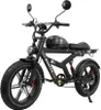 DUOTTS F20 Elektrisches Fahrrad - 52V 27AH Batterie mit Produktbild-Vorschau 1