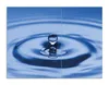 Wallario Herdabdeckplatte aus Glas, Größe 70 x 52 cm Produktbild-Vorschau 1