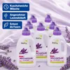 AlmaWin Weichspüler Lavendel 750ml - 6er Pack Produktbild-Vorschau 3