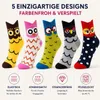 Damen Eulensocken 5er Set – Lustige bunte Socken Produktbild-Vorschau 7
