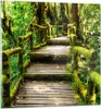 Bilder auf glas - Asien natur park brücke - 30x30cm - Produktbild-Vorschau 1
