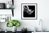 MuchoWow® Gerahmtes Poster Portrait Nashorn auf schwarzem Produktbild-Vorschau 4