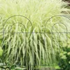 15 tlg. Beetzaun, Beetumrandung für Garten, Dekozaun aus Produktbild-Vorschau 2