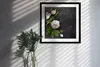 Bild - 50 cm x 50 cm - MDF - Rahmen, Wandkunst - Knoblauch Produktbild-Vorschau 3