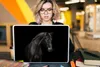 MuchoWow® Laptop Aufkleber Sticker Cover Pferd - Tiere - Produktbild-Vorschau 5