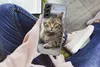 MuchoWow® Handyhülle Schutzhülle Hülle für Samsung Galaxy Produktbild-Vorschau 3