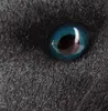 A close-up of a black plush panther's eye. Podgląd zdjęcia produktu