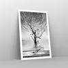 Poster - Poster ohne Rahmen - Schwarzweiß Baum See - Produktbild-Vorschau 7