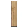 A single, tall, narrow cabinet with a wood-grain door and gray frame, set against a white background. Produktbild-Vorschau