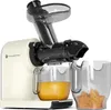 KitchenBrothers Slow Juicer - Kompakt - Entsafter - Obst- Produktbild-Vorschau 1