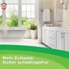Nexa Lotte 3659 Silberfischchen Falle 3 Stück Produktbild-Vorschau 7