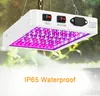 312 LEDs Grow Light fuer Zimmerpflanzen 312 LEDs Full Produktbild-Vorschau 13