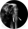 MuchoWow® Rundes Wandbild - Runde Bilder Elefant - Tiere - Produktbild-Vorschau 1