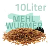 Mehlwürmer 10 Liter | Futter für Koi, Vögel, Igel, Hühner, Produktbild-Vorschau 2