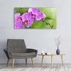 Glasbilder 120x60 Wandbild Druck auf Glas Blumen Gebäude Produktbild-Vorschau 3