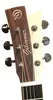 Akustikgitarre Dreadnought Woody W48, Zederndecke, Matt, 48 Produktbild-Vorschau 4