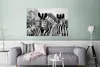 MuchoWow® Poster Zebra - Schwarz - Weiß - Tiere 120x80 cm - Produktbild-Vorschau 5