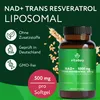 Vitabay Liposomales NAD+ 1000 mg – 90 vegane Softgels – mit Produktbild-Vorschau 2