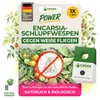 Encarsia Schlupfwespen gegen weiße Fliegen, 1 Karte für 5 Produktbild-Vorschau 1