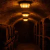 A dimly lit wine cellar with barrels and bottles, illuminated by overhead lights. Produktbild-Vorschau