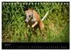 Whippets in Aktion (Tischkalender 2027 DIN A5 quer), Produktbild-Vorschau 9