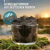 A glass jar filled with dark mud, placed on moss with a sunset in the background. Produktbild-Vorschau