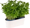 Eenvoudige, onversierde stalen tray - multifunctioneel - 1 Productafbeelding-voorbeeld 5