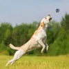 Set di giocattoli per cani Relaxdays, 4 pezzi, nodi e Anteprima dell’immagine prodotto 2