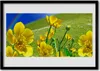 Bild 70x50 MDF-Rahmen Wandkunst Regenbogen Wiese Blumen Produktbild-Vorschau 1