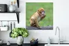 MuchoWow® Poster Affe - Zweig - Natur - Tiere 50x50 cm - Produktbild-Vorschau 3