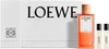 Loewe Set Solo Loewe Ella Edp 100 Ml+10 Ml +10 Ml Produktbild-Vorschau 2