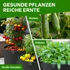 TTL GARDEN Pflanzsack 40L – 10er Set Stofftöpfe aus Filz & Produktbild-Vorschau 3