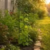 Tuteur KADAX 120 cm, 1 pièce, support pour plantes en métal Voir les images du produit 2