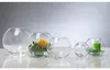 Sandra Rich Kugel-Vase Globe Glas 13,5cm Ø13cm klar, Vase Produktbild-Vorschau 3